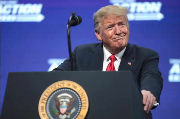 President Trolls ‘No Kings’ Protests With Epic Videos Donald Trump