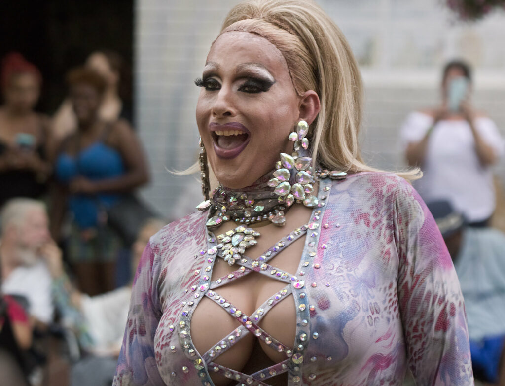 Neighbor Accuses Trans Teacher With ‘Obscene’ Prosthetic Breasts Of Dressing Like A Man Away From School Drag Queen Boobs