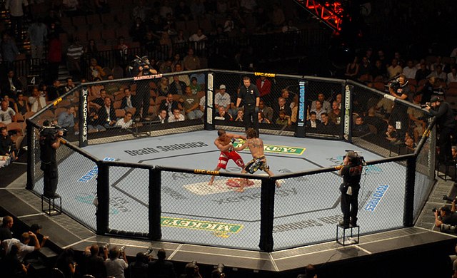 Trump Supporting UFC Star Teases Florida Senate Run UFC fight